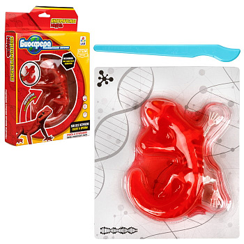 1TOY LAB "БИОсфера" - познавательная анатомия, Набор "Ящерица", 19,5*4,5*23,5 см