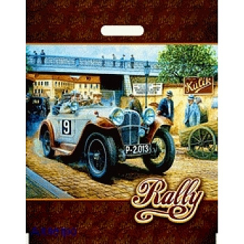 Пакет проб 40*47/45мкм ПВД ИП Ралли 00000008662