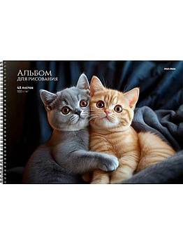 Альбом для рис.48л. Проф-Пресс спираль "Объятия котят" А48-8300