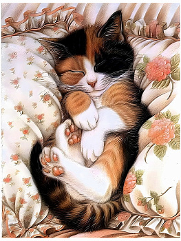 Алмазная мозаика классика (30х40см) с подр,полн.зап. (30цв) Котик на подушке НД-0529