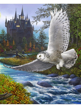 Алмазная мозаика класcика (22х32см) с подр,полн.зап. (33цв) Сова и замок НД-8526