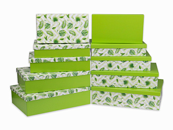 Набор прямоуг.кор. 5-в-1 Джунгли (40х28х10-32х20х6см) ПП-3167