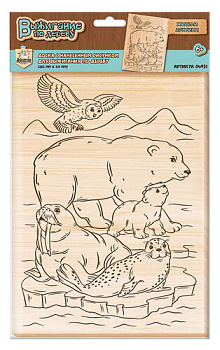 Доска д/выжигания А4 Жители Арктики (европодвес) 04951 (Дес.Кор.)