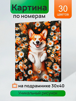 Холст с красками (30x40см) по номерам Корги в ромашках 30цв) в/к ХК-5223