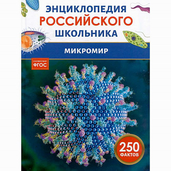Энциклопедия российского школьника Микромир 62598