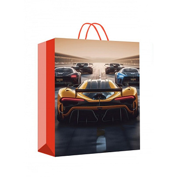 Пакет подар.мат. (22х31х10см) PML-113362-B