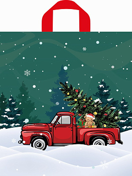 Пакет петлевой полиэтил.(42х38/37мкм) Праздник в пути н00287416