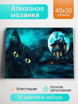 Алмаз мозаика (класс.) 30х40 см, с подр., с полн. заполн. (30цв) Полнолуние (Арт. НД-0531)