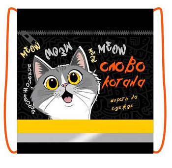 Сумка д/обуви ПЧЕЛКА СДС-71 42*34см "Слово котана" ткань,карм.,светоотр.полоса