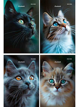 Блокнот А6  24л. Проф-Пресс "Фото котов-3" Б24-4695 цв.мел.обл.,бл.-офс.,асс.