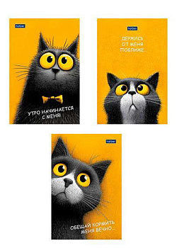 Блокнот А6  40л. ХАТ Premium "Пушистый философ" склейка,обл.мел.,глянц.лам.