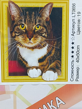 Алмазная мозаика (40х50см) с подрамником, полное заполнение 5D 0656 LT