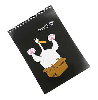 СБ Блокнот д/эскизов (скетчбук) А5-  40л. (верх. спираль) "Гусь Гагарик" б/линов