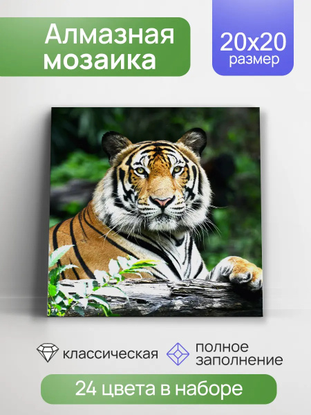 ЦБ-00064197