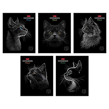 Тетрадь 48л. (клетка) ХАТ "Black Cat" мат.лам.,3D-лак,асс.