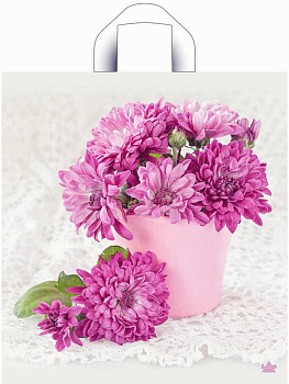 Пакет петлевой полиэтил.(40*36/37мкм) Хризантемы н00228275