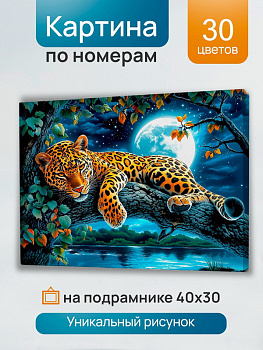 Холст с красками (30x40см) по номерам Ночной леопард на ветке (30цв) в/к ХК-3236