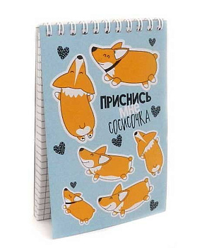 СБ Блокнот А6  40л. (верх.спираль) "Corgi Style" (клетка)