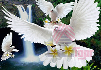 Алмазная мозаика (40х50см) с подрамником, полное заполнение 0064В