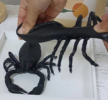 ПВХ Паук/Скорпион (12шт/уп) Цена за шт M17174