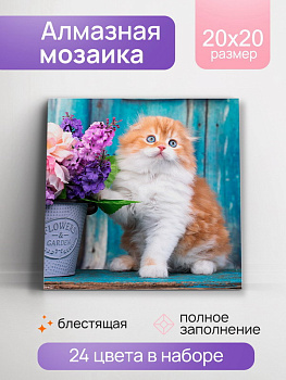 Алмазная мозаика класcика (20х20см) Голубоглазый котёнок с подрамником, полное заполнение (24цв) НД-