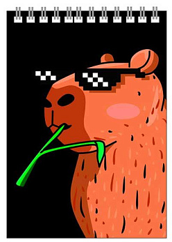 СБ Блокнот А6  48л. (верх.спираль) "Капибара 007" 264101