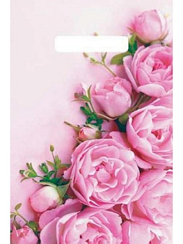 Пакет вырубной полиэтил.(20х30см/30мкм) Ненси ВНР55127