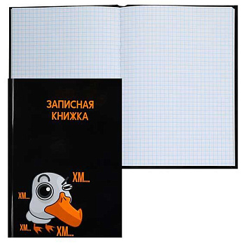 Записная книжка А5  80л. КОКОС "Гусь Гагарик" 252635 клетка,тв.обл.,глянц.лам.