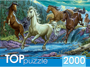 Пазлы (2000эл) Ночной табун лошадей ХТП2000-1594