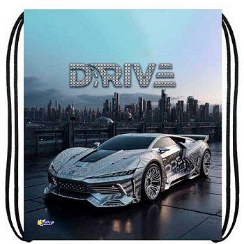 Сумка д/обуви ОНИКС 41*49см МО-27-1 "Silver auto" (87983) 1отд.