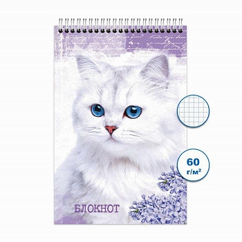 Блокнот спираль А6  48л Кошки-2 Бг48/9-2
