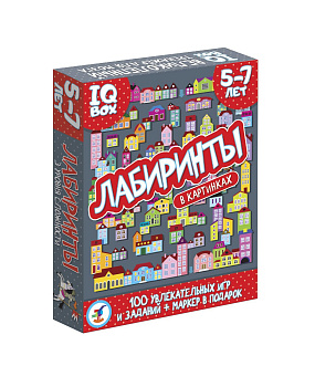 НПИ (логика) IQ Box Лабиринты 5-7лет 3567 (Дрофа-Медиа)