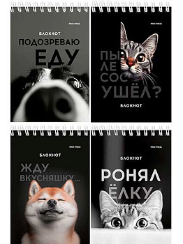 Блокнот А6  40л. Проф-Пресс спираль "Смешные питомцы" Б40-7018 цв.мел.обл.,офс.,клетка,асс.
