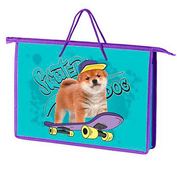 Папка пластик,с ручками А4 ОНИКС ПТ-15 "Skater dog" (70485) д/тетрадей на молн.