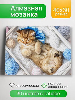 Алмазная мозаика классика (30х40см) с подрамником, полное заполнение (30цв) Спящий пушистик НД-0523